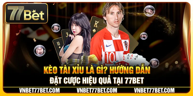 Kèo Tài Xỉu Là Gì? Hướng Dẫn Đặt Cược Hiệu Quả Tại 77Bet