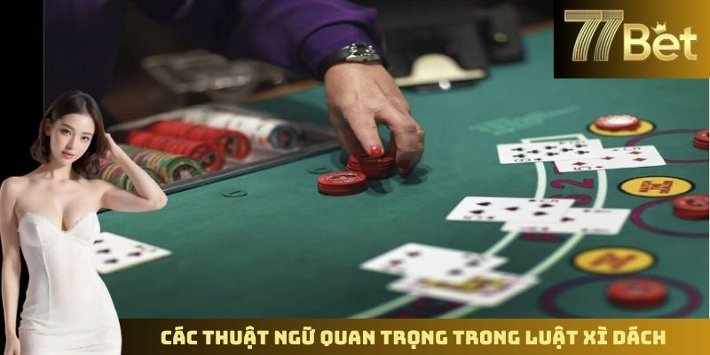 Luật Chơi Xì Dách Nhà Cái – Hiểu Rõ Quy Tắc Khi Chơi Tại 77BET Các thuật ngữ quan trọng trong luật Xì Dách