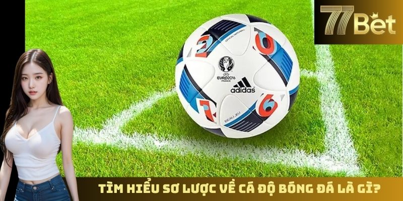 Cách Chơi Cá Độ Bóng Đá Không Thua – Chiến Lược Tại 77BET Tìm hiểu sơ lược về cá độ bóng đá là gì?